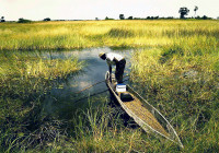 3-Okavango2--03.jpg