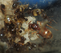 20230714_DSCN8284s.JPG (911.26 KiB) 166622-mal betrachtet 20230714_DSCN8284s.JPG