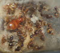 20230909_DSCN9793s.JPG (919.26 KiB) 166622-mal betrachtet 20230909_DSCN9793s.JPG