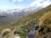 Sierra-Nevada_4910.jpg