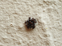 20190605_204147.jpg