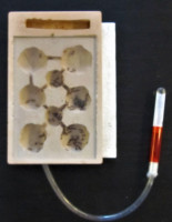 Neues Nest.JPG (825.2 KiB) 144000-mal betrachtet Neues Nest.JPG