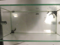 Extomo2.JPG (842.82 KiB) 115759-mal betrachtet Extomo2.JPG