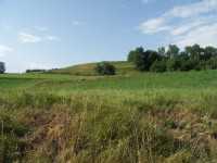 PICT0041.JPG