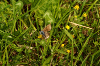 DSC09418.JPG