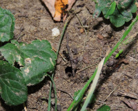 DSCN8136s.JPG