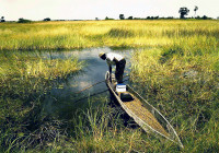 3-Okavango2--03.jpg