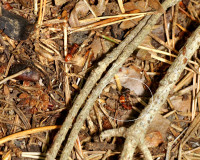 DSC05758.JPG