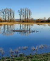 Flut-220209_711.jpg