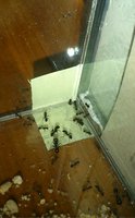 Ausbruch.jpg (870.41 KiB) 339298-mal betrachtet Ausbruch.jpg