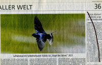 Kiebitz-Echo-6.10.2023.jpg (287.29 KiB) 506509-mal betrachtet Kiebitz-Echo-6.10.2023.jpg