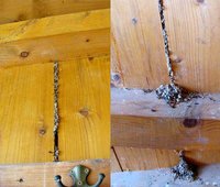 2-3-innen.merge.jpg (101.6 KiB) 446581-mal betrachtet 2-3-innen.merge.jpg