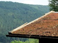 4-Dach-4447.jpg (136.25 KiB) 446580-mal betrachtet 4-Dach-4447.jpg