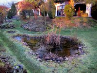 Molchgarten_3954-web.jpg