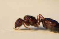 IMG_1255.JPG
