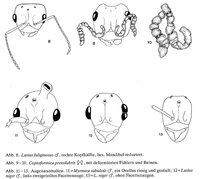 2-Deformationen-Kutter.jpg (73.64 KiB) 35032-mal betrachtet 2-Deformationen-Kutter.jpg