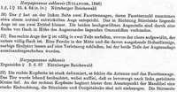 3-Augenmissb.-Stoewesand.jpg (108.34 KiB) 35032-mal betrachtet 3-Augenmissb.-Stoewesand.jpg
