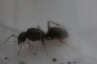 20170531194717_IMG_3889.JPG