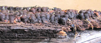 Rätsel-345.jpg