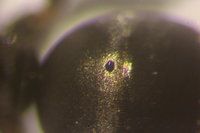 IMG_0092 Ameisenportal.JPG (369.38 KiB) 72263-mal betrachtet IMG_0092 Ameisenportal.JPG