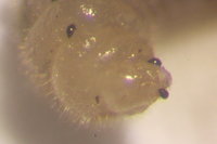 IMG_0271.JPG (372.31 KiB) 72262-mal betrachtet IMG_0271.JPG