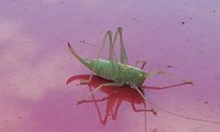 20180821_174926.jpg