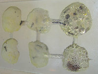 Odontomachus haematodus Nestkammern.JPG (696.96 KiB) 105101-mal betrachtet Odontomachus haematodus Nestkammern.JPG