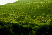 Bassai-Terr.-114.jpg