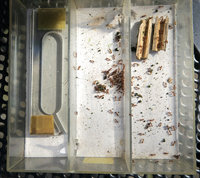 2-T.aff._1300.jpg (902.74 KiB) 54000-mal betrachtet 2-T.aff._1300.jpg